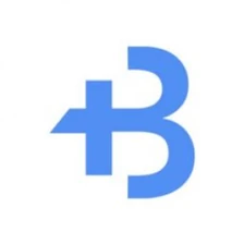 Logo BIGToken
