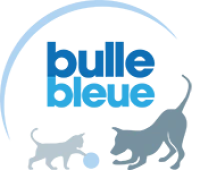 Logo Bulle Bleue