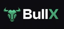 Logo BullX