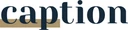Logo Caption