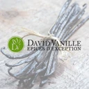 Logo David Vanille