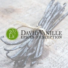 Logo David Vanille