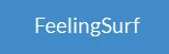 Logo FeelingSurf
