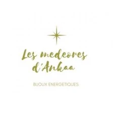 Logo Les médéores d'Ankaa