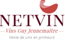 Logo Netvin