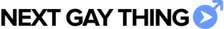 Logo Next Gay Thing