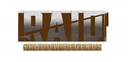 Logo Raid : Shadow Legends