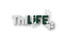 Logo ThiLIFE