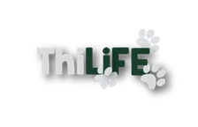 Logo ThiLIFE