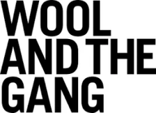 Logo Wool and the Gang